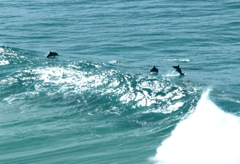 Beach Trekkers North Stradbroke Island - Tourism Canberra 2