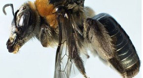 City Delivery Centre WA Tourism Canberra