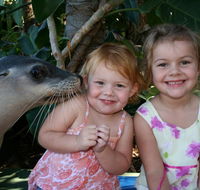 Dolphin Marine Magic - Tourism Canberra