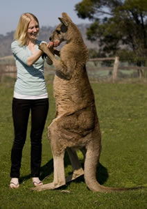 Zoo Doo Wildlife Park - Tourism Canberra 5