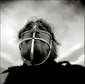 Australian Centre For Photography - Tourism Canberra 3