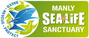 Manly NSW Tourism Canberra