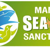 Manly SEA LIFE Sanctuary - Tourism Canberra