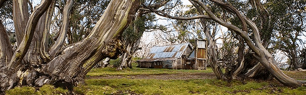 High Country Scenic Tours - Tourism Canberra