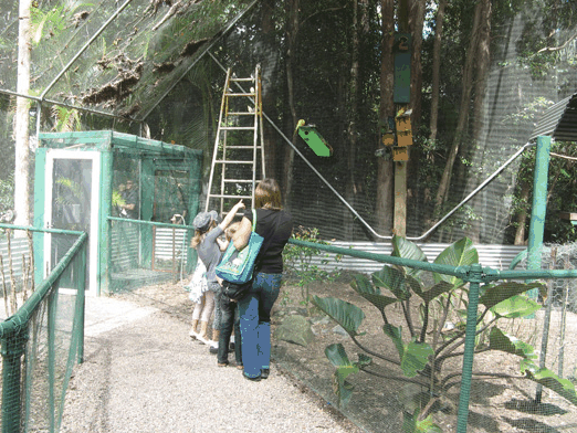 Bellingham Maze - Tourism Canberra 7