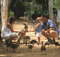 Billabong Sanctuary - Tourism Canberra