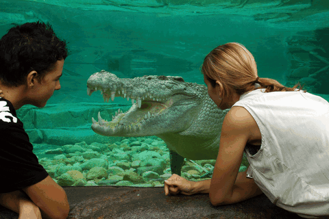 Cairns Wildlife Dome - Tourism Canberra 1