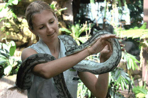 Cairns Wildlife Dome - Tourism Canberra 2
