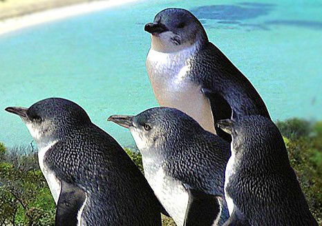 Rockingham Wild Encounters - Tourism Canberra 0