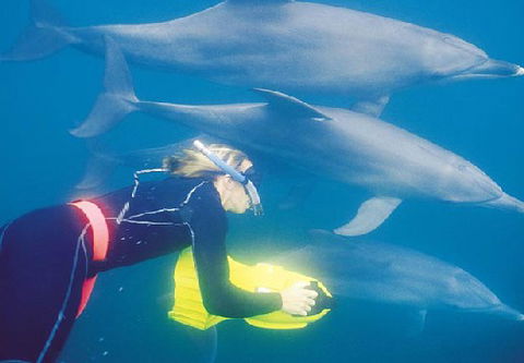 Rockingham Wild Encounters - Tourism Canberra 1