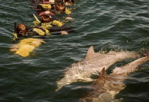 Rockingham Wild Encounters - Tourism Canberra 2