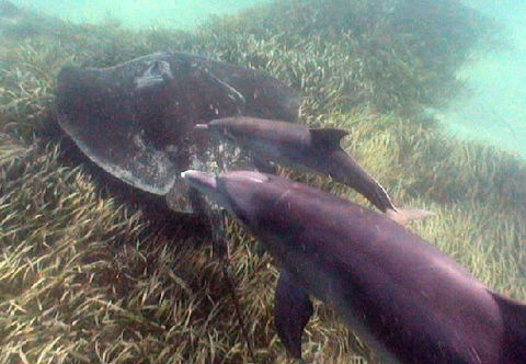 Rockingham Wild Encounters - Tourism Canberra 3