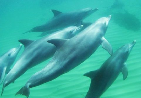 Rockingham Wild Encounters - Tourism Canberra 4