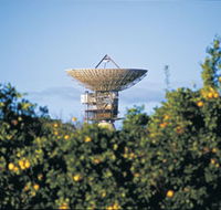 Big Dish - Tourism Canberra
