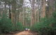 Boranup Drive - thumb 0