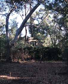 Ghost House Walk Trail, Yanchep National Park - Tourism Canberra 0