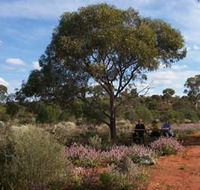 Karlkurla Bushland Park - Tourism Canberra