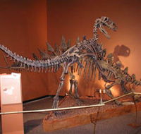 Denmark Dinosaur World - Tourism Canberra