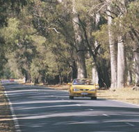 Ludlow Tuart Forest - Tourism Canberra