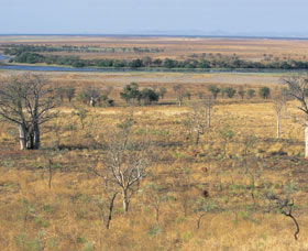 Marglu Billabong - Tourism Canberra 0