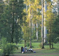 Big Brook Arboretum - Tourism Canberra