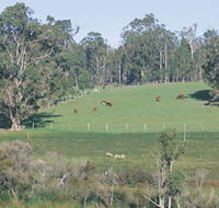 Scenic Drives - Bunbury Collie Donnybrook - Tourism Canberra