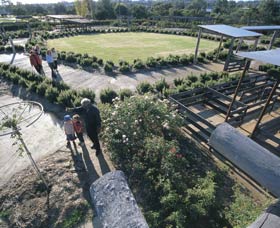 Kojonup Rose Maze - Tourism Canberra 0