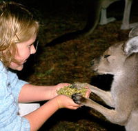 Discovery Bay's Walk on the Wild Side - Tourism Canberra