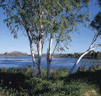 Celebrity Tree Park - Tourism Canberra