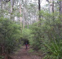 Margaret River Rails Trail - Tourism Canberra