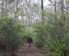 Margaret River Rails Trail - Tourism Canberra 0