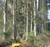 Scotsdale Tourist Drive - Tourism Canberra