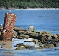 Whalers Beach - Tourism Canberra