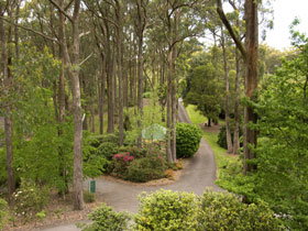Mount Lofty Botanic Garden - Tourism Canberra 0