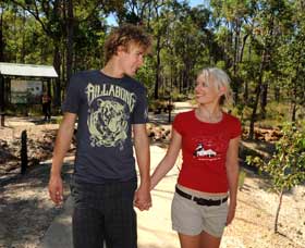 Crooked Brook Forest - Tourism Canberra 0