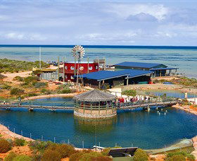 Shark Bay WA Tourism Canberra