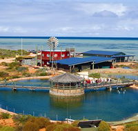 Ocean Park Aquarium - Tourism Canberra