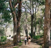 Law Trail and Lotterywest Federation Walkway Kings Park - Tourism Canberra