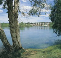 Bandicoot Bar - Tourism Canberra