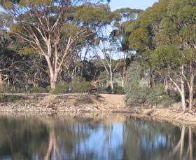 Merredin Railway Dam - Tourism Canberra 0