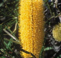 Moore River National Park - Tourism Canberra