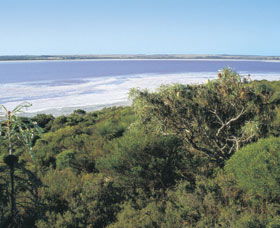 Pink Lake - Tourism Canberra 0