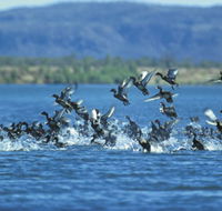 Ord River - Tourism Canberra