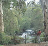 Cascades - Tourism Canberra