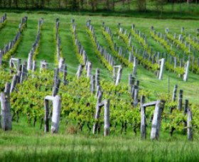 Sienna Estate Winery - Tourism Canberra 0