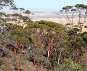 Mount Matilda Walk Trail, Wongan Hills - Tourism Canberra 0