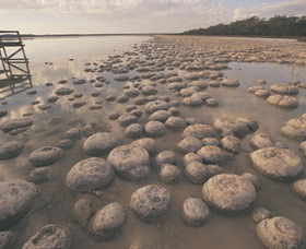 Yalgorup National Park - Tourism Canberra 0