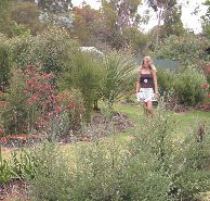 The Mythic Mazes - Tourism Canberra