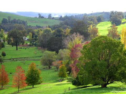 Golden Valley Tree Park - Tourism Canberra 0