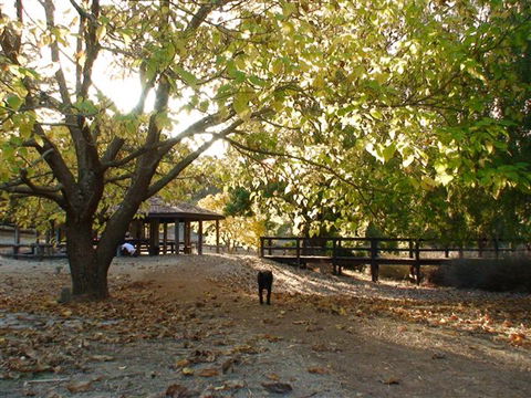 Golden Valley Tree Park - Tourism Canberra 1